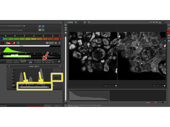 The TauScan mode is ideal to detect possibly hidden lifetime populations. Also here, activate the options window after choosing "TauScan".