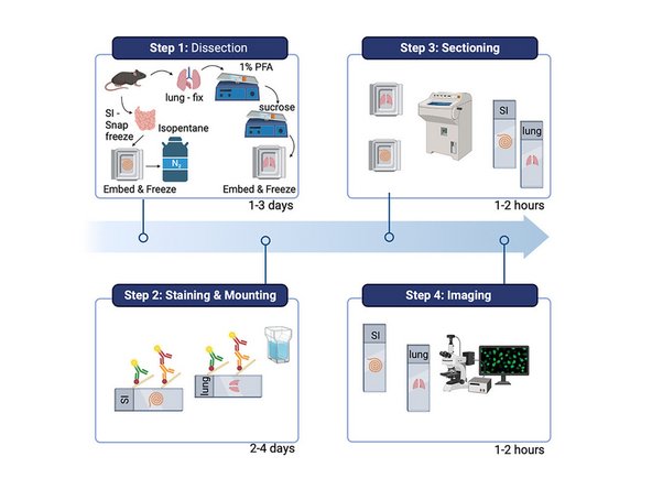 Take Protocol of Choice: One here or steps below.