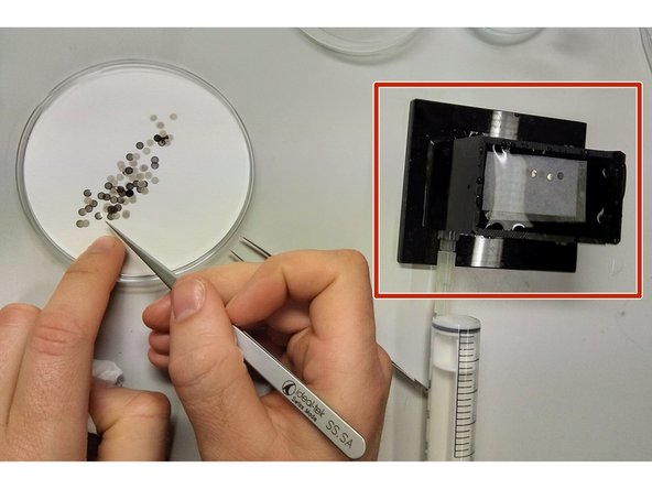 Add a filter paper on top and fill the container completely with distilled/nanopure water.