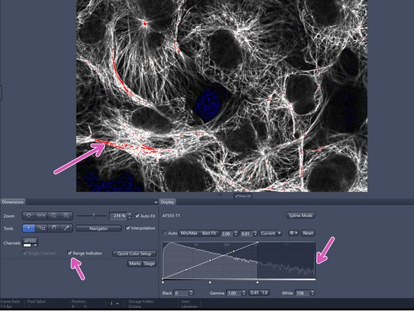 Adjust the "Display" histogram by clicking "Best Fit" for seeing an image.