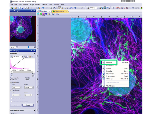Open the data with CellSens Dimension Desktop.