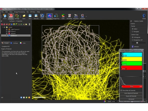 Once you have adjusted all parameters, you can apply the segmentation of your ROI to the whole dataset.