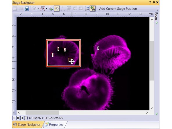 Use the arrow tool to select your positions (for multiple positions keep the shift key pressed while selecting the different positions)