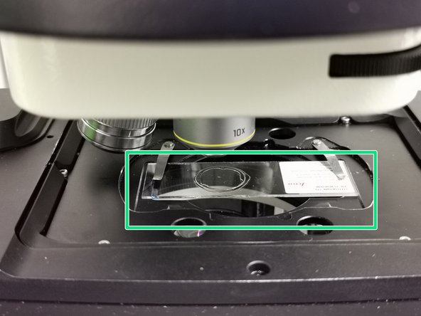 Insert your sample with the coverslip facing up and fix it with the two springs.