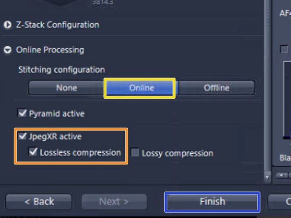 The &quot;Online Processing&quot; expander is the final step of the wizard. For online stitching and imaging with the default format nothing has to be changed