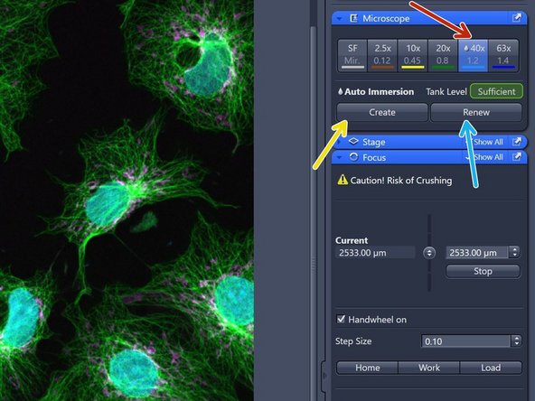 Click &quot;40X&quot; objective to select it.