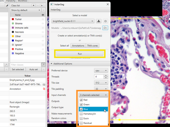 Choose a directory to store the model. (Only needed the first time running InstanSeg)