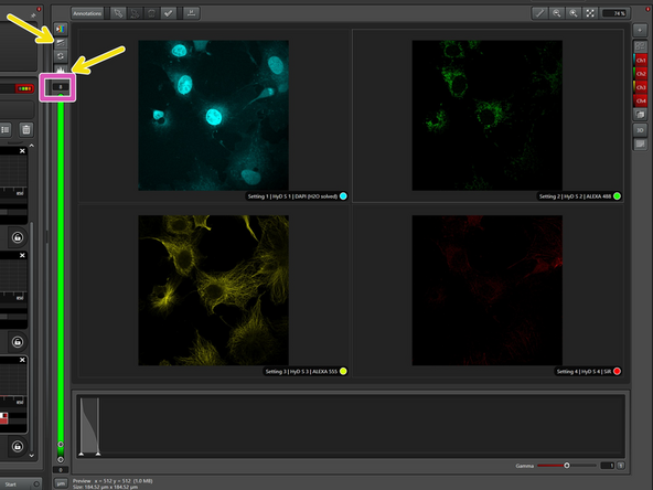 Go &quot;Live&quot;.