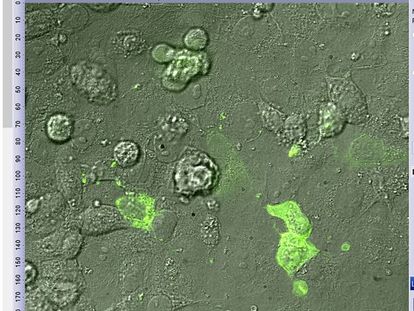 Remove DIC components by adding a DIC_OUT observation method.