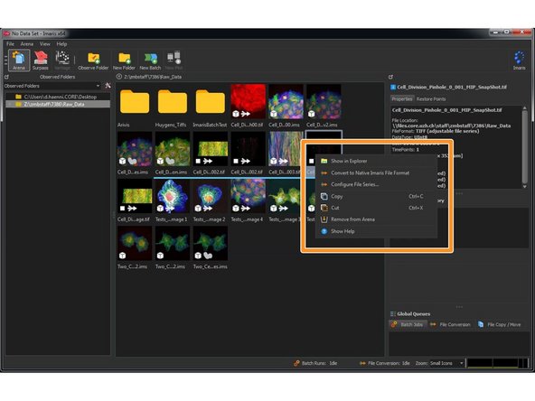 Multiple files of a series such as 3D stacks or time series are shown as a single icon with the dimensions indicated.