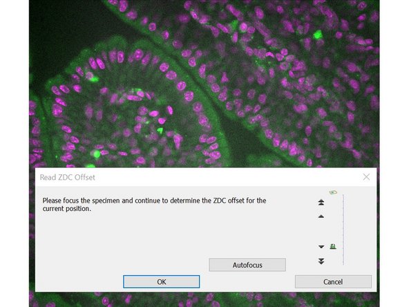 In a MIA the central position will be used to assess the ZDC offset.