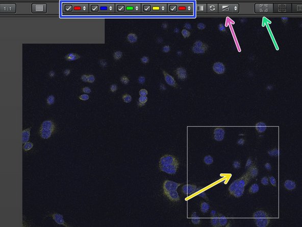 Double click (left mouse button) on the current position to get a snapshot of this position.