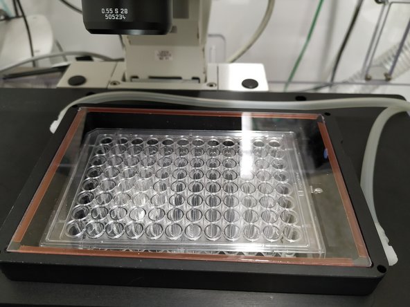 Wait until the CO2 concentration and temperature stabilize inside the chamber (approx. 30 min).