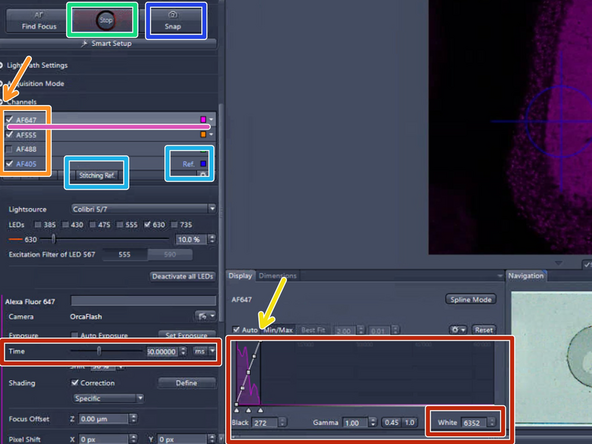 Double click &quot;&quot;Scan Settings&quot;- add picture of this HERE