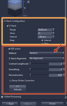 Tick &quot;Z-Stack&quot;