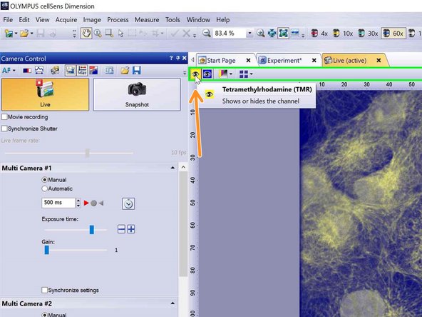 If you are using the dual camera by toggling this button you can show or hide channels.