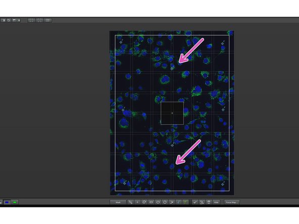 Focus in the respective field of view with the Z-wheel on the pannel.