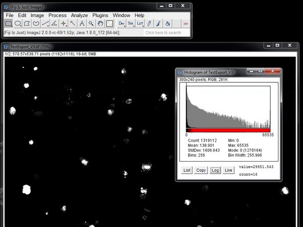 If you open the resulting file in FIJI you should see two channels corresponding to the variables you selected for export (e.g. counts and lifetime).