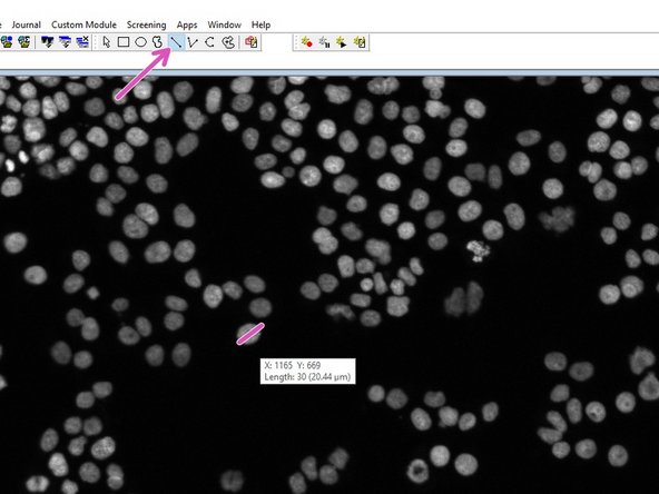 Choose how to display the results (we recommend &quot;New&quot;).