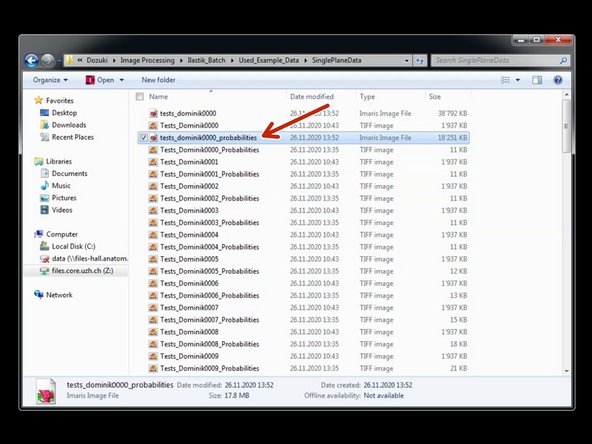Double click on a converted .ims file to open it using Imaris.