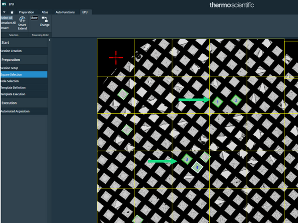 Similarly to a regular EPU session - select the grid squares on which you would like to collect your data.