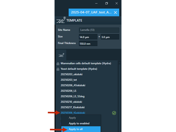 Apply your carefully adjusted template for the lamella sites. Right click on your template (right-side panel) and select Apply to all.
