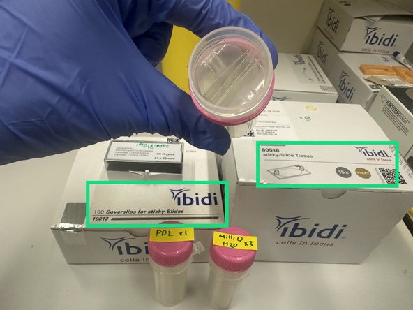 3. Align Ibidi 25mm x 75mm coverslip (cat# 10812) with Ibidi sticky slide (cat# 80518) carefully.