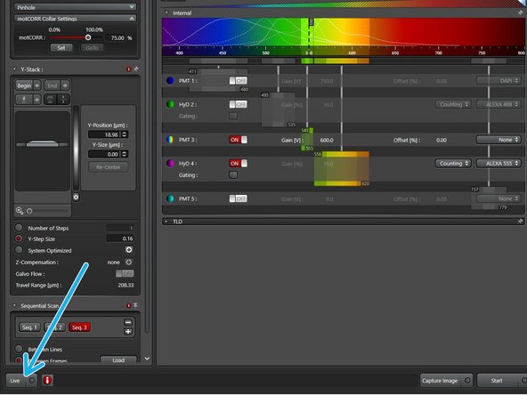 Click "Live"  to start live acquisition. Adjust "Gain [V]" and laser power appropriately without saturation.