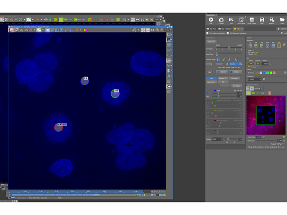 press Ctrl+Shift+R to display ROI Editor to draw 3 ROI