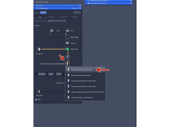 Switch to the 10x objective and check that you are in focus.