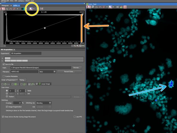 Click here to display over and undersaturated pixels.