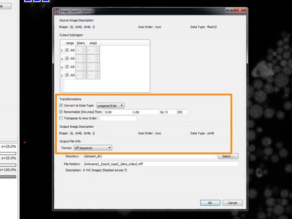 Usually it is good practice to export the probability images and to threshold and segment them in another tool such as Fiji. Therefore Select &quot;Probabilities&quot;.