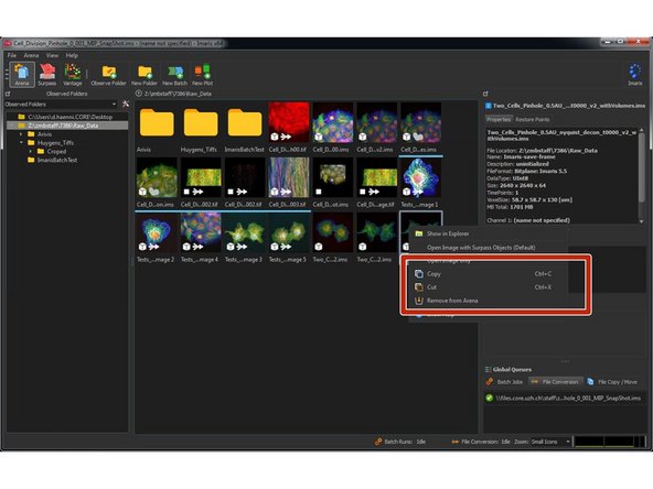 Right clicking on a file allows you to cut/copy a file or to remove it from Arena. This won't remove your file from the drive.