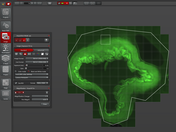 Leica SP8 upright (MP DIVE): create overviews using the camera