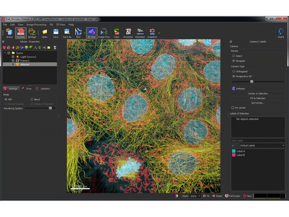 Double clicking on the converted file opens the &quot;Surpass&quot; view.