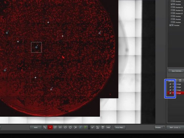 Make sure that only the chosen imaging region(s) are ticked in the job list.