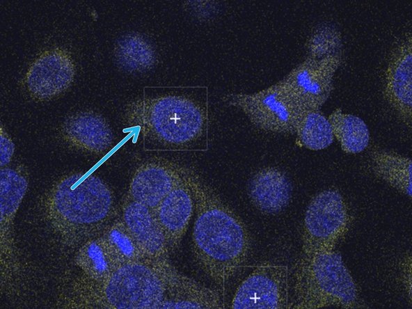 Use the Zoom wheel in the smart panel bellow the computer monitor to zoom in (smaller square).