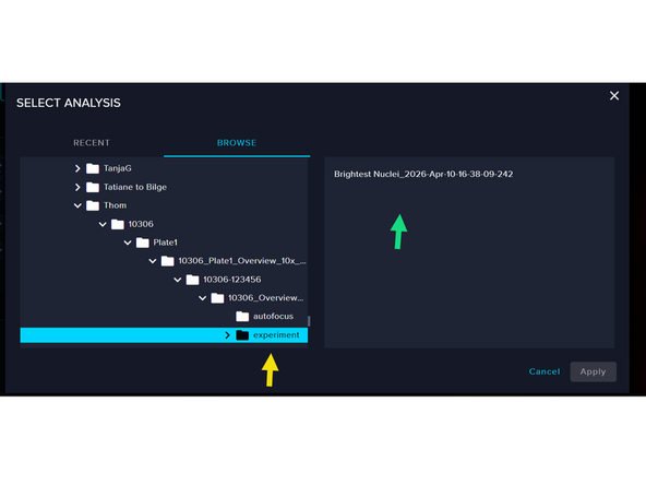 Load the objects using the Update Wells and Regions button.