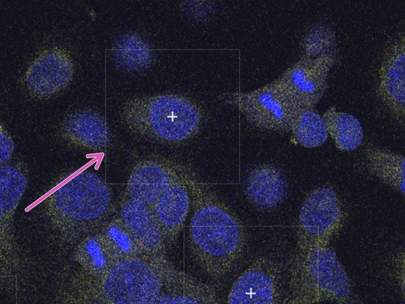 Or out (larger square).