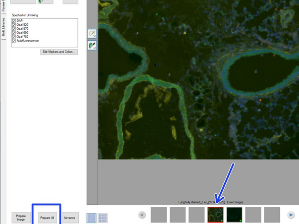 A new window will pop up. Select all dye names in the list that you have in your panel except for the autofluorescence. Confirm by clicking OK (bottom right)