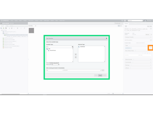 Tags: they are keywords that are used to classify data into categories and subcategories. To create them, in the main OMERO.web interface, click on Tags tab on the top left. You can then add one or multiple Tags with optional descriptions, which will be linked to your user account.