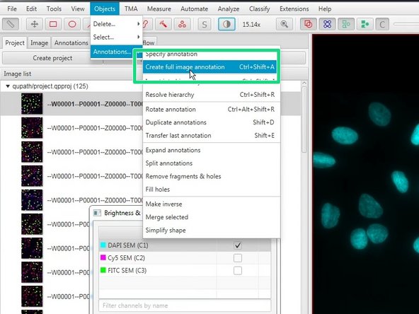 If you want Qupath to automatically detect your cells follow the next steps.