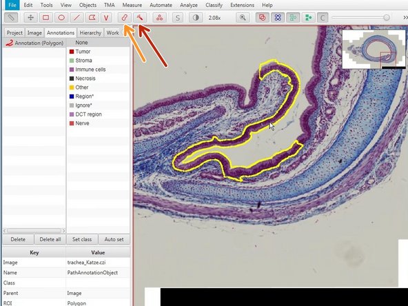 The wand (red) and brush tool (orange) are useful tools to define complex shapes.