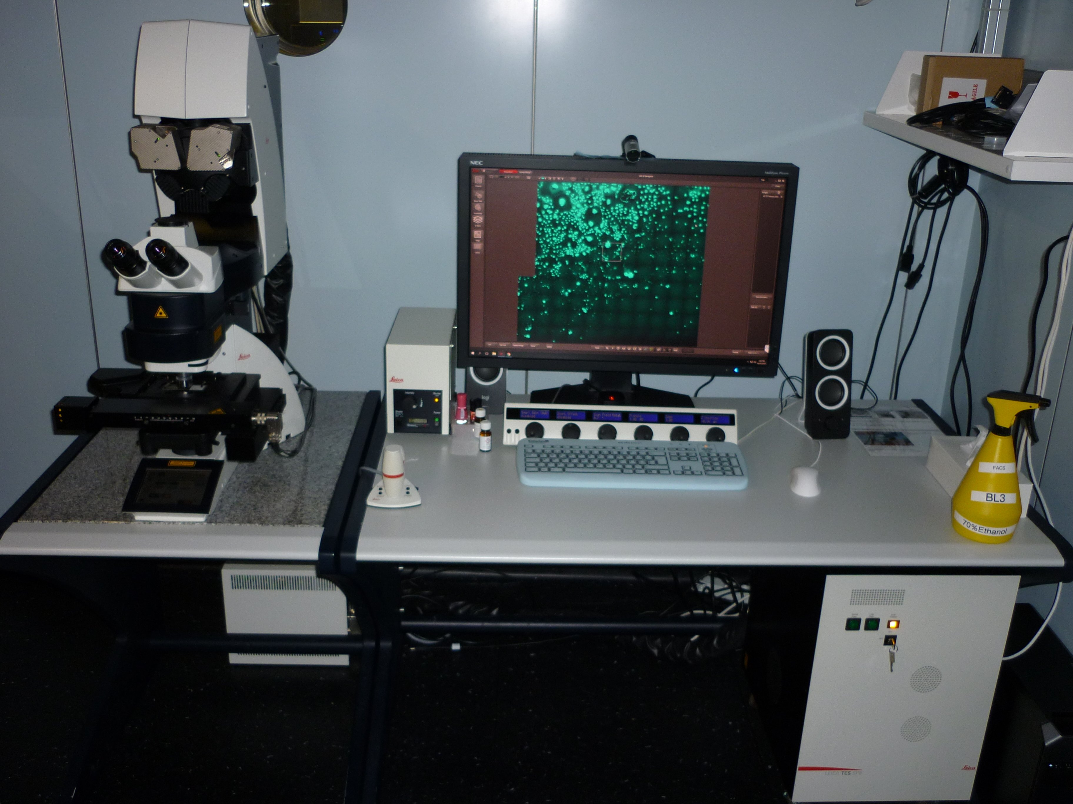 Leica SP8 upright BL3 (Irchel) - 1: Start-up - ZMB UZH