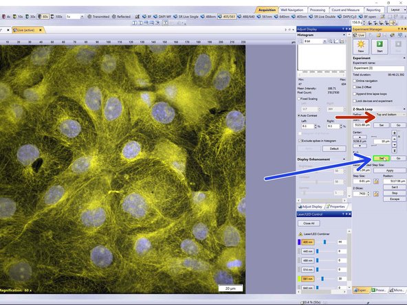 You can use the arrows or Ctrl+mouse wheel to move to the top of your stack.
