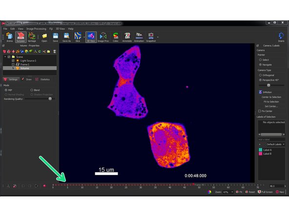 If you open 2D or 3D time series, you should see a time bar which allows you to navigate the time dimension of your series.