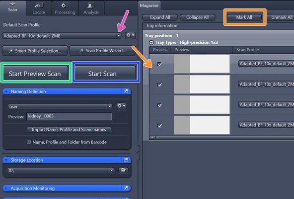Select the slides to be scanned. To select all slides click on &quot;Mark All&quot;