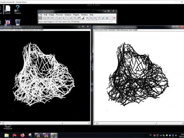 Now you can work using the imported probability maps in FIJI.