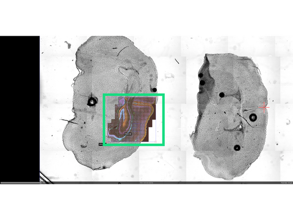 Guide here for writing an Aria Protocol- Fluigent Aria 2: How to write an Aria Sequence
