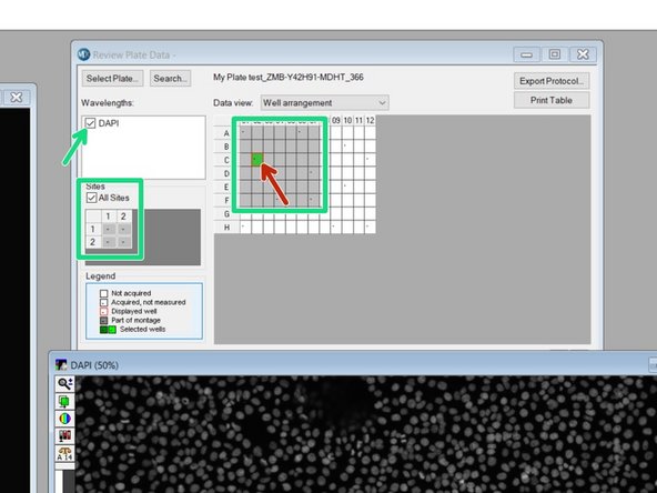 If you have run an analysis on this plate before, you can hide the values (Low Pressure) by unclicking &quot;Show values&quot; in the &quot;Display tab&quot;.